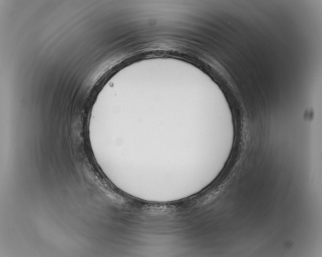 X0000111890826200908201319