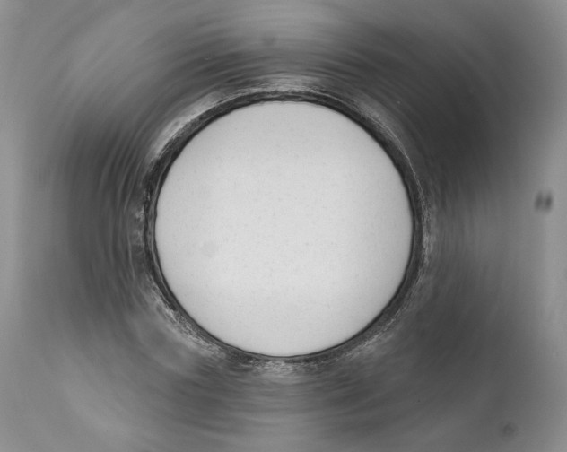 X0000111890827200908201319