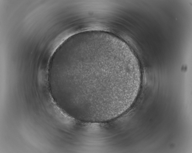 X0000111890828200908201319