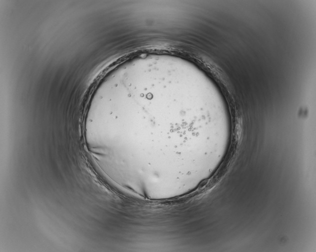 X0000111890829200908201319