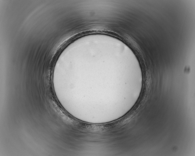 X0000111890831200908201319