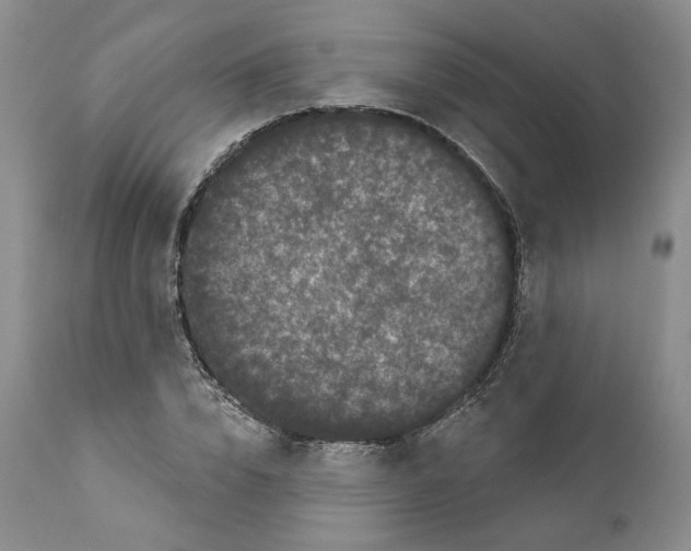 X0000111890832200908201319