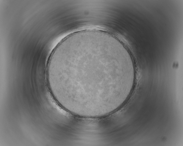 X0000111890836200908201319