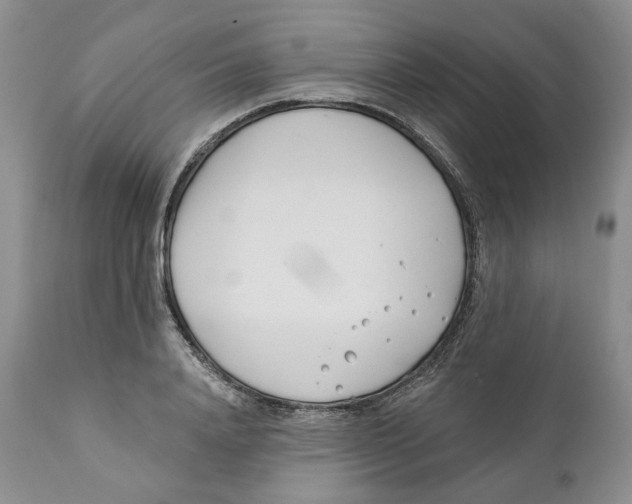 X0000111890840200908201319