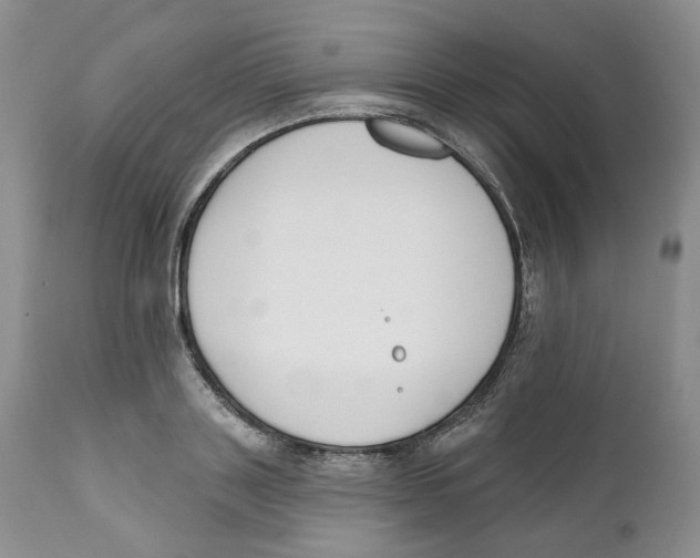 X0000111890843200908201319