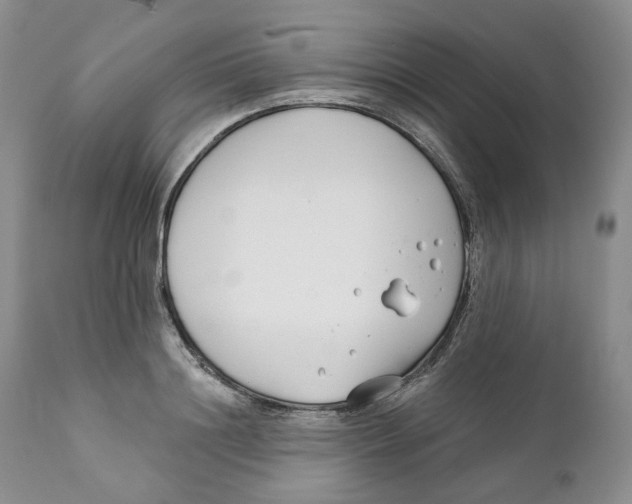 X0000111890844200908201319