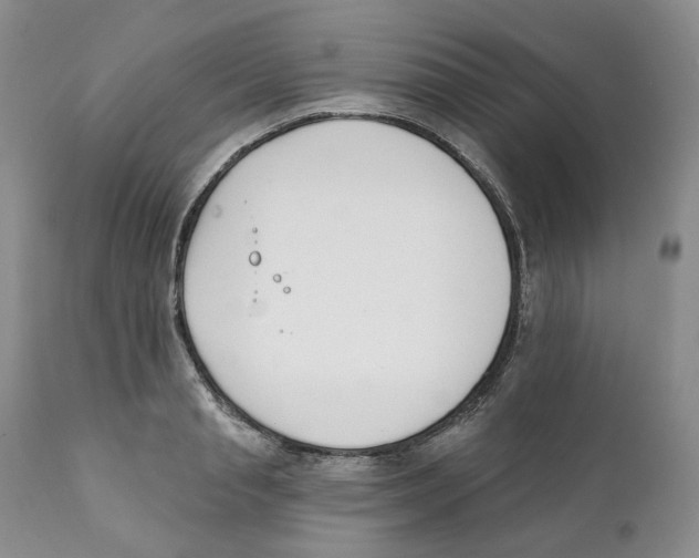 X0000111890845200908201319