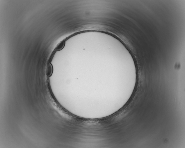 X0000111890846200908201319