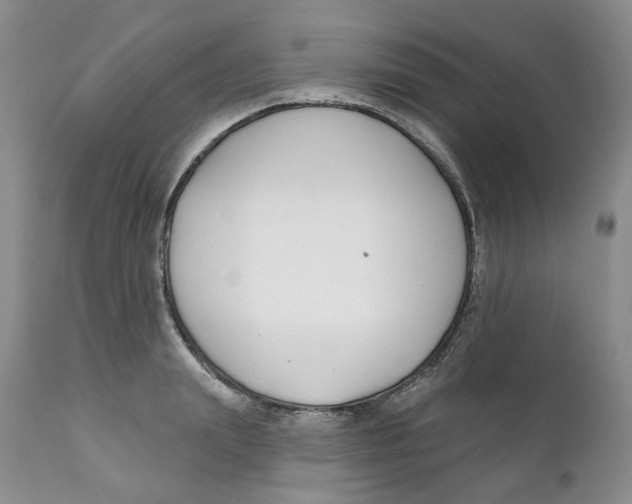 X0000111890847200908201319