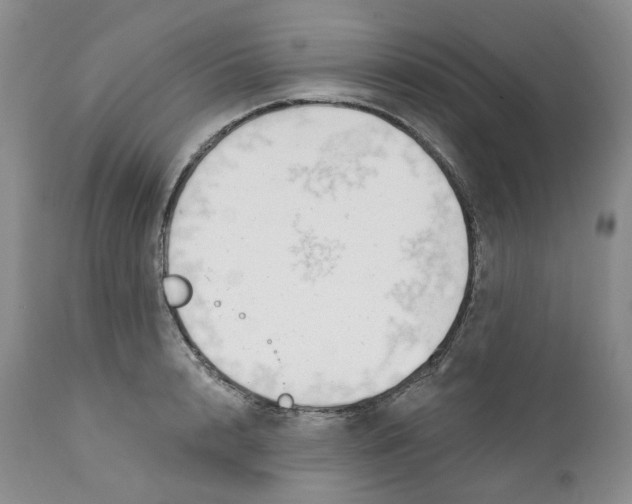 X0000111890848200908201319