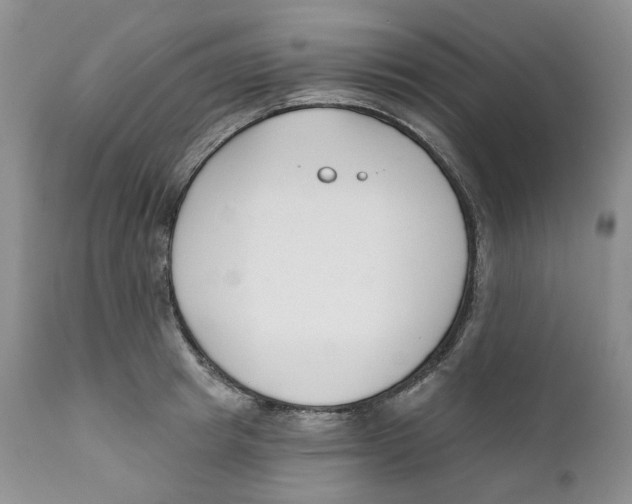 X0000111890849200908201319