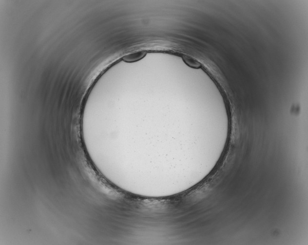 X0000111890850200908201319