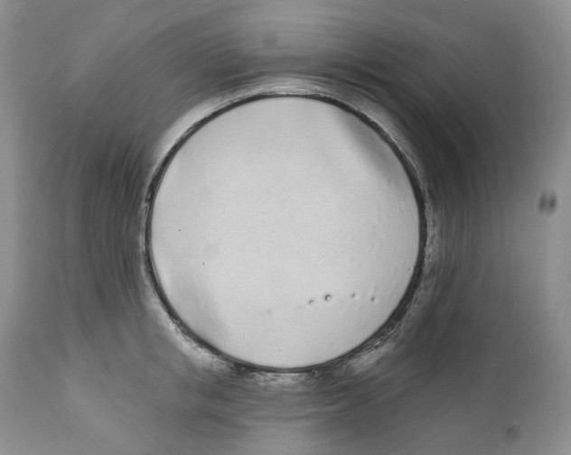 X0000111890853200908201319