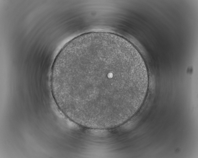 X0000111890856200908201319