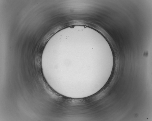 X0000111890857200908201319