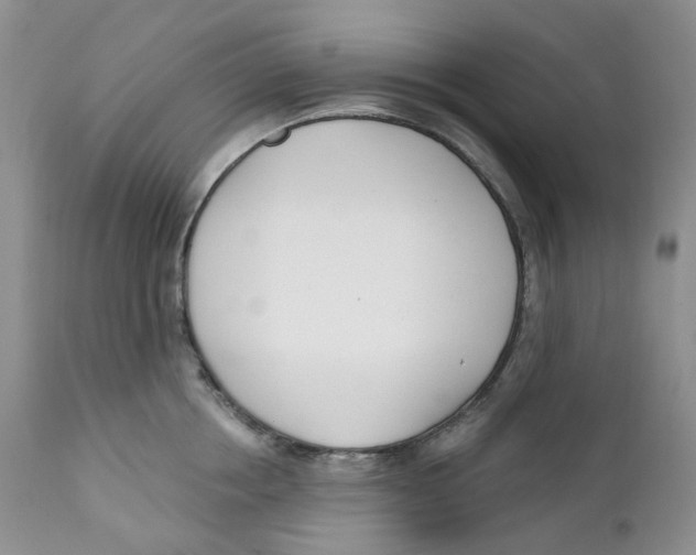 X0000111890858200908201319