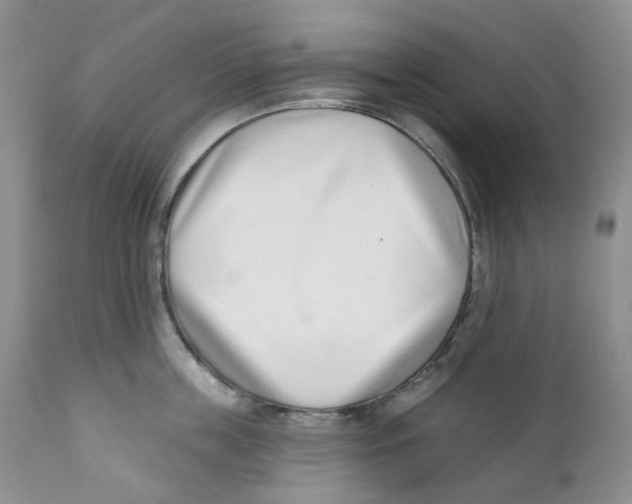 X0000111890859200908201319