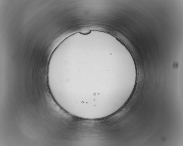 X0000111890860200908201319