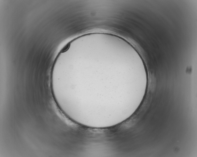 X0000111890862200908201319