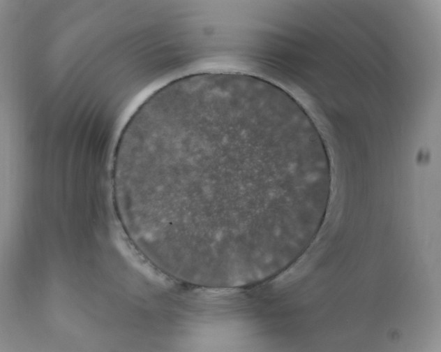 X0000111890864200908201319