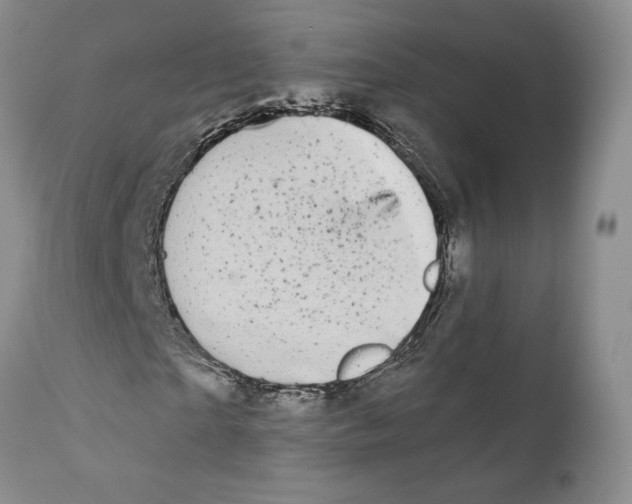 X0000111890865200908201318