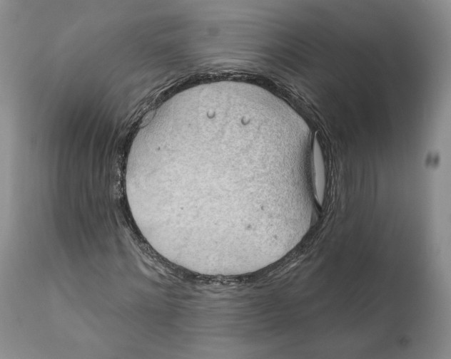 X0000111890868200908201318