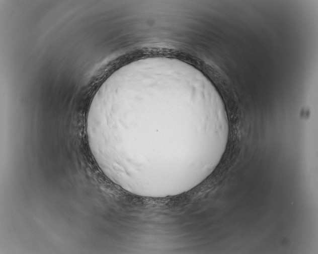 X0000111890870200908201318