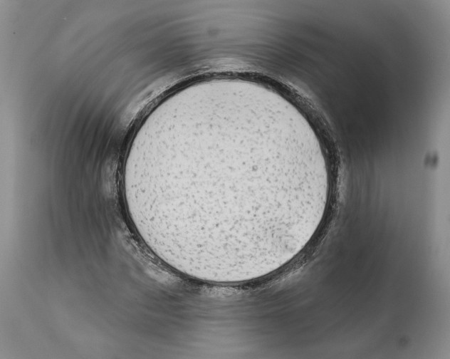 X0000111890873200908201318