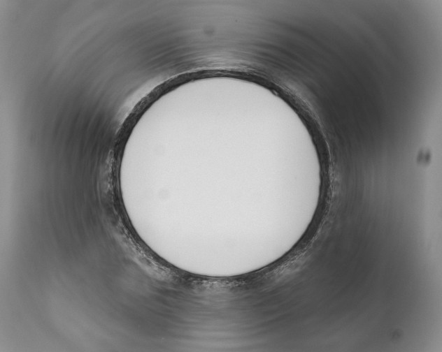 X0000111890875200908201318