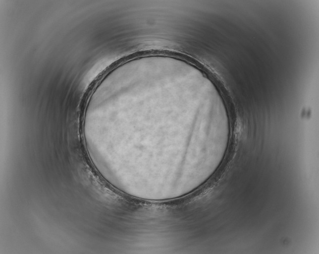 X0000111890877200908201318