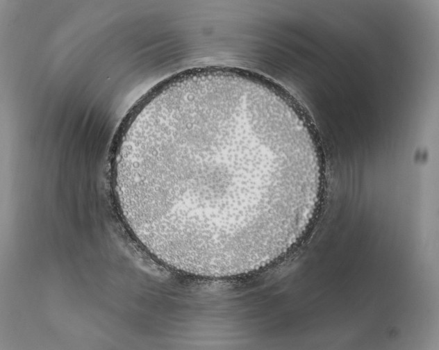 X0000111890879200908201318