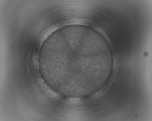 X0000111890882200908201318