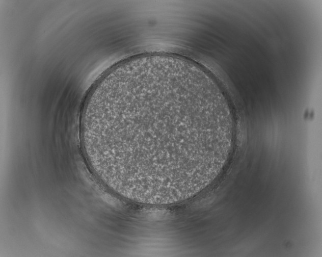 X0000111890886200908201318