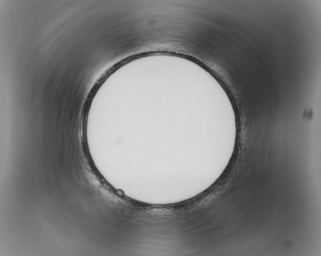 X0000111890888200908201318