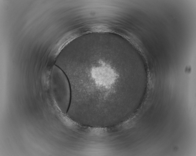 X0000111890889200908201318