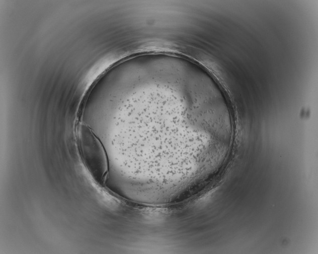 X0000111890893200908201318