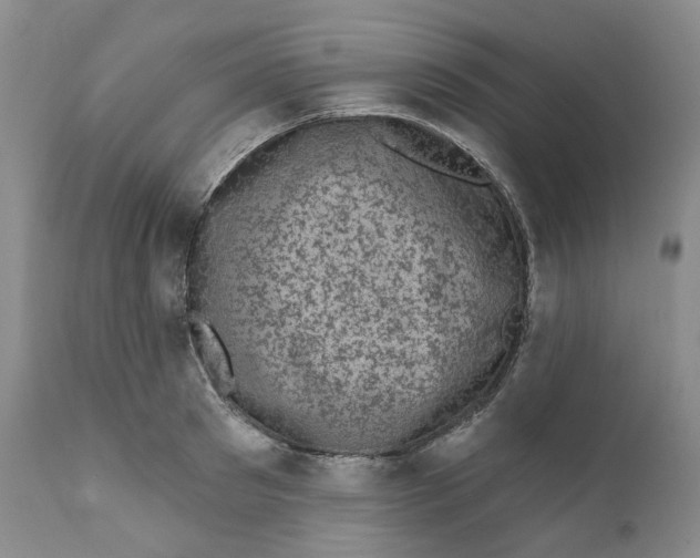 X0000111890897200908201318