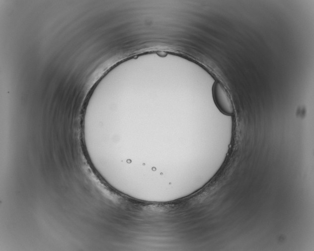 X0000111890898200908201318