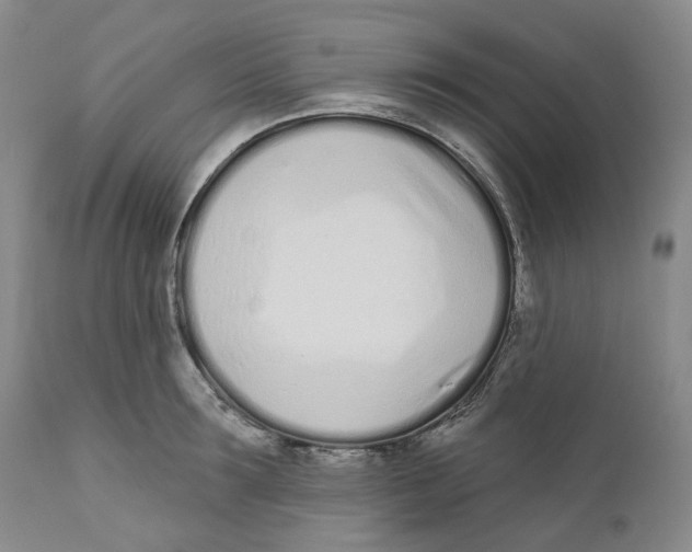 X0000111890899200908201318