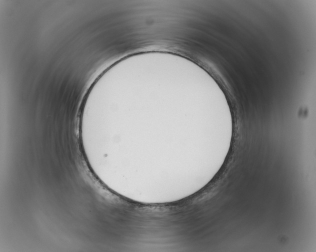 X0000111890900200908201318