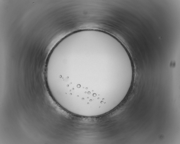 X0000111890901200908201318