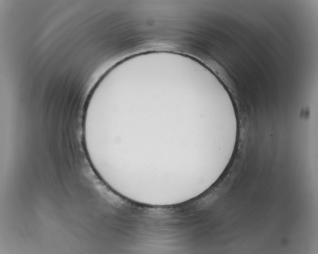 X0000111890904200908201318