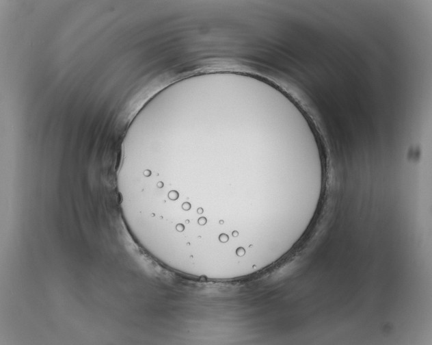 X0000111890905200908201318