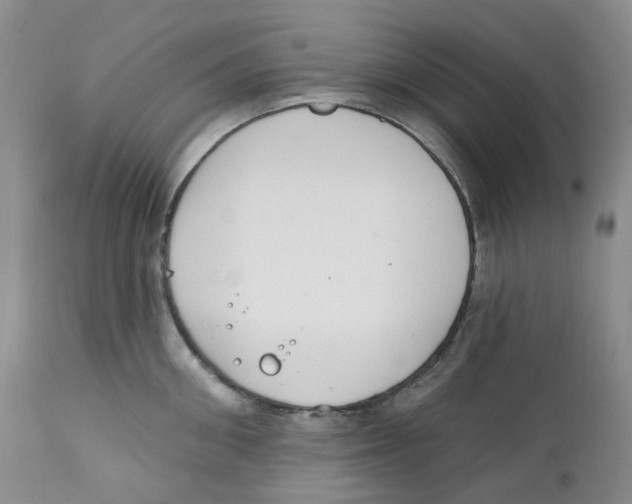 X0000111890906200908201318