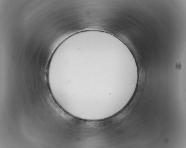 X0000111890908200908201318