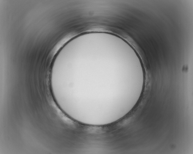 X0000111890909200908201318