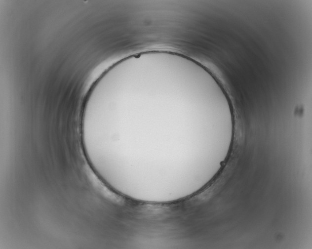 X0000111890910200908201318