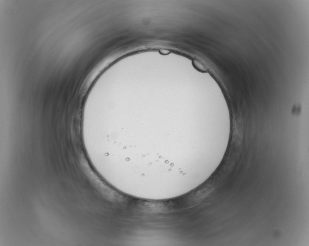 X0000111890911200908201318