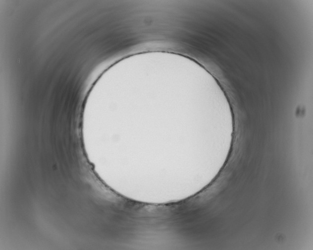 X0000111890912200908201318