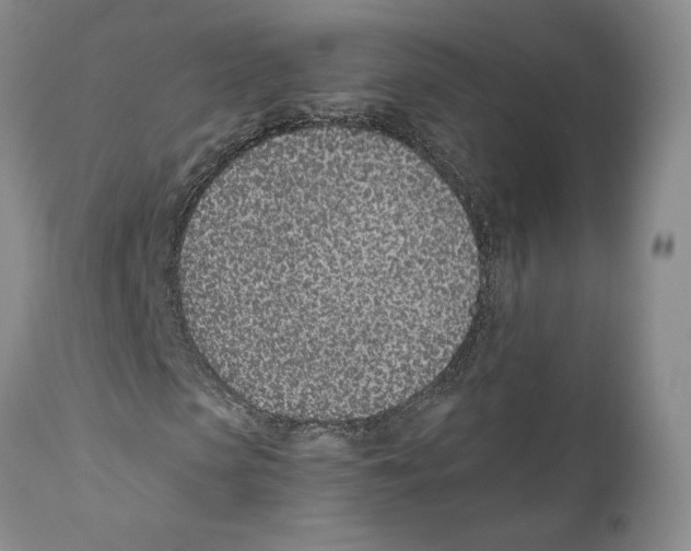 X0000111890913200908201317